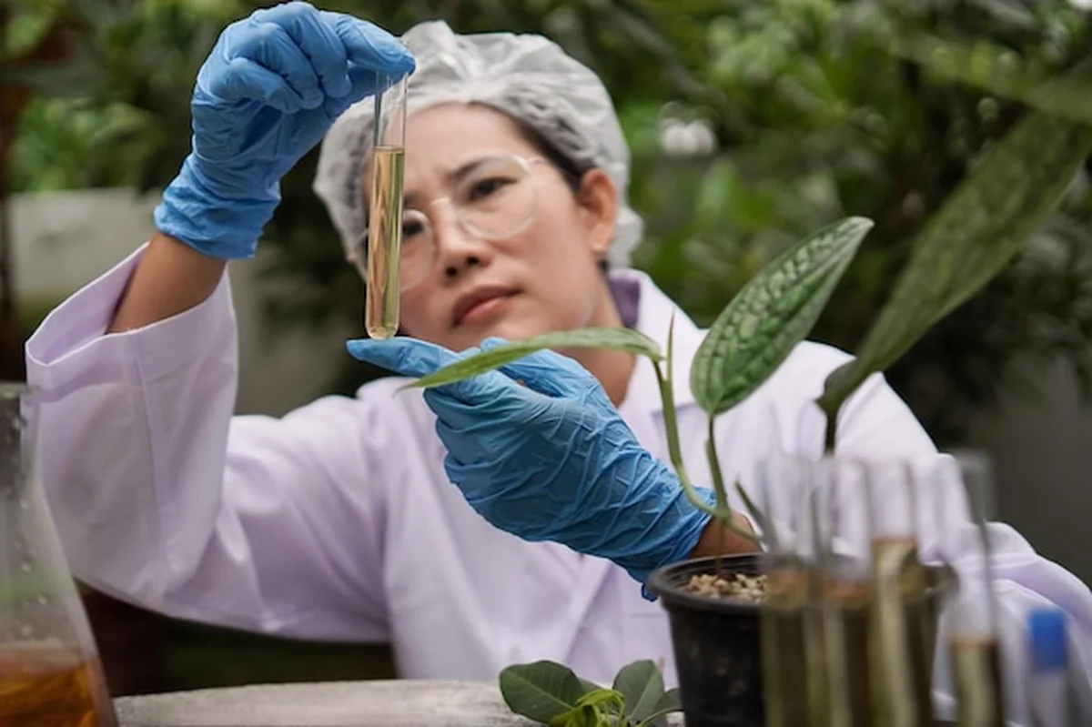 Naukowcy badają leki na bazie roślin w laboratorium