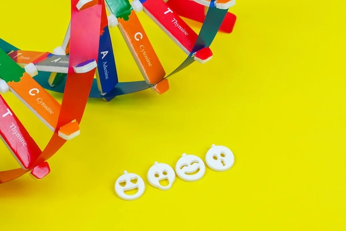 Struktura helisy DNA i uśmiechnięte serce